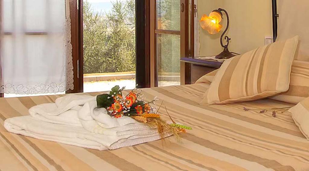 Agriturismo Il Canto Della Gallina Hotel Villastrada  Zewnętrze zdjęcie